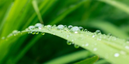 valeco-earth-friendly